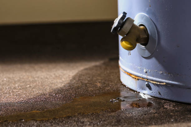 Best 24-hour water damage restoration  in Angels, CA
