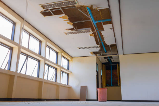 Best Carpet water damage restoration  in Angels, CA