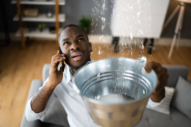 Best Ceiling water damage repair  in Angels, CA