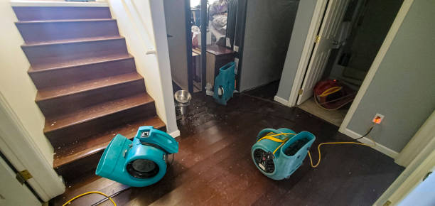 Best Water damage restoration experts  in Angels, CA