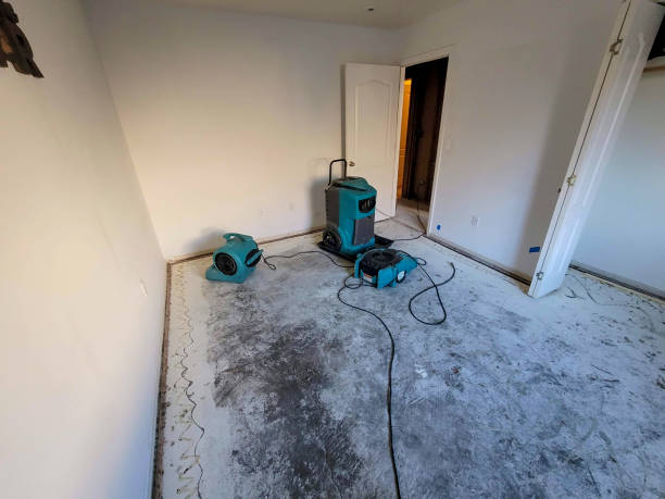 Best Water damage mitigation services  in Angels, CA