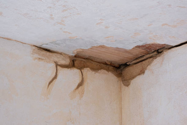 Best 24-hour water damage restoration  in Angels, CA