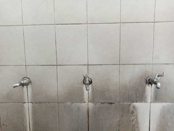 Best Water damage restoration specialists  in Angels, CA