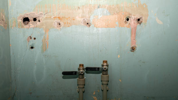 Best Water damage restoration near me  in Angels, CA