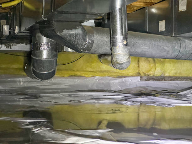 Best Water damage restoration company  in Angels, CA