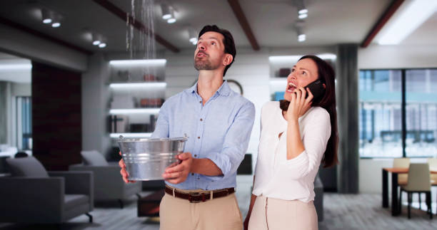 Best Water damage cleanup near me  in Angels, CA