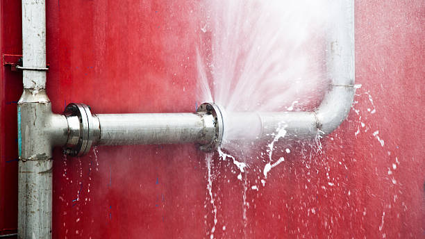 Best Professional water damage repair  in Angels, CA