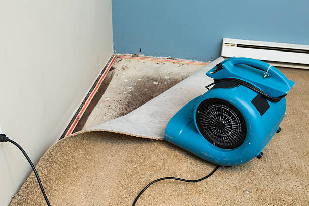 Best Sewage cleanup and water damage restoration  in Angels, CA